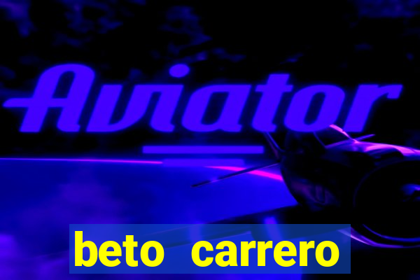 beto carrero cidades proximas